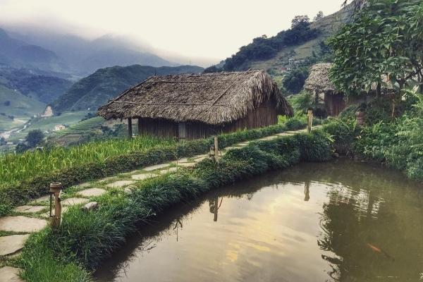 homestay-o-sa-pa-eco-palms-house