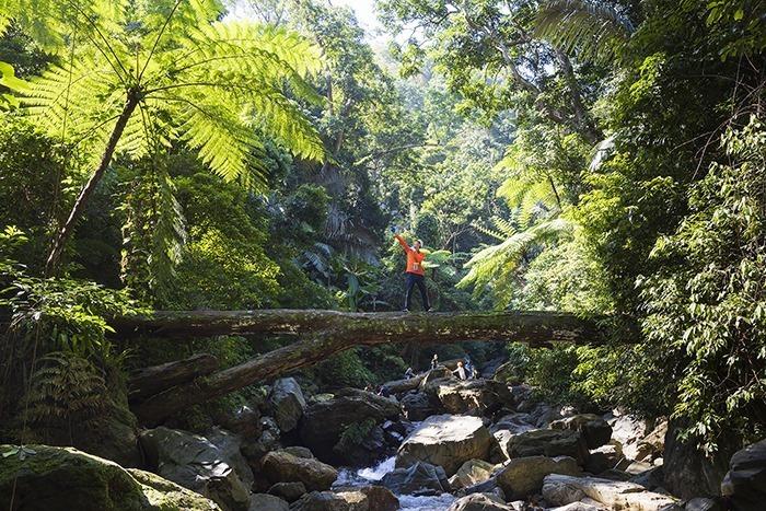 Hành trình trekking trong rừng vượt thác Dương Cầm ở khu dự trữ thiên nhiên Động Châu Khe Nước Trong