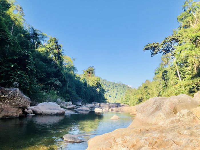 Khu bảo tồn thiên nhiên Mường Nhé Điện Biên