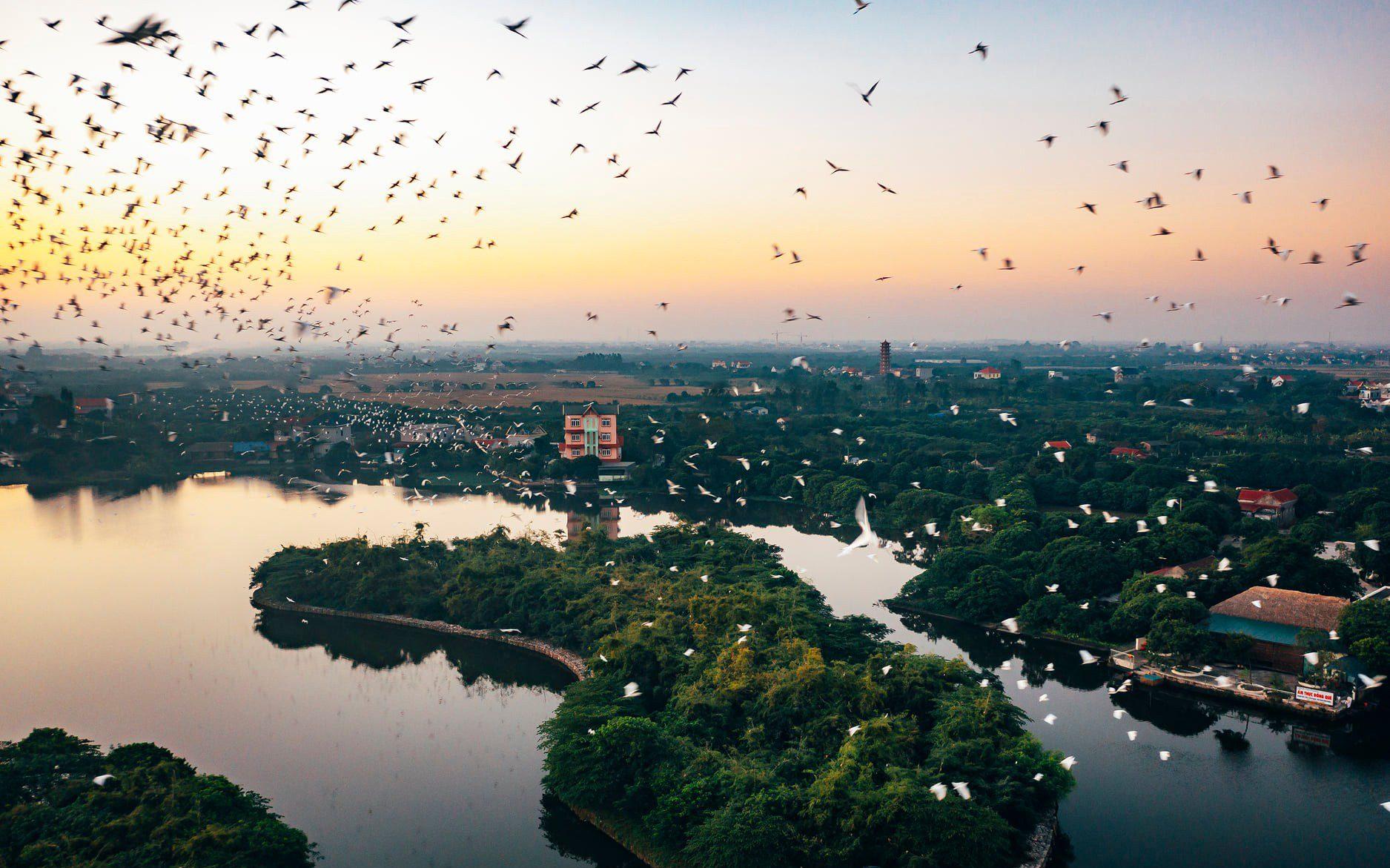 Đảo cò nhìn từ trên cao