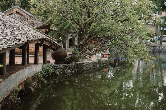 Khung cảnh thiên nhiên chùa