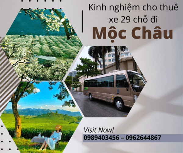 Kinh nghiệm cho thuê xe 29 chỗ du lịch Mộc Châu tháng 12