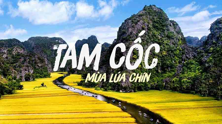 Tam Cốc Ninh Bình