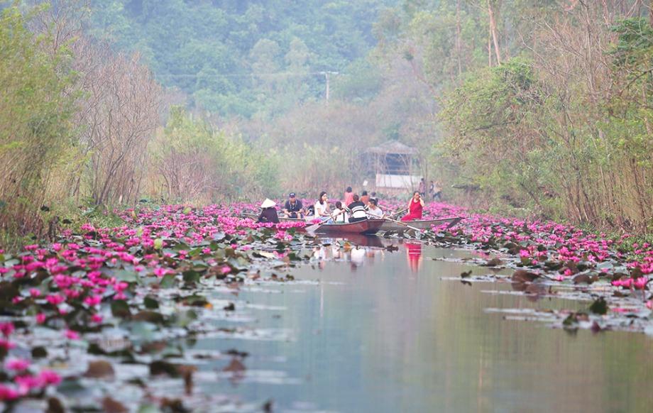 Suối Yến chùa Hương
