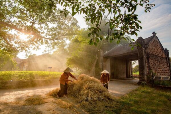 Vạn An báo giá cho thuê xe 35 chỗ Thaco đưa đón đoàn tận nơi giá rẻ_Làng cổ đường lâm 2